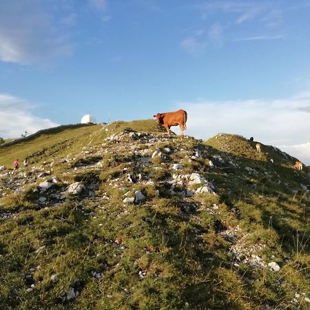Cahute De Montagne Pour Profiter Du Haut Jura Prémanon エクステリア 写真