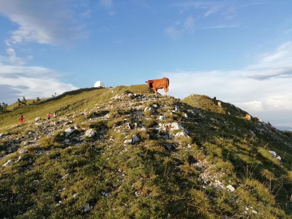 Cahute De Montagne Pour Profiter Du Haut Jura Prémanon エクステリア 写真