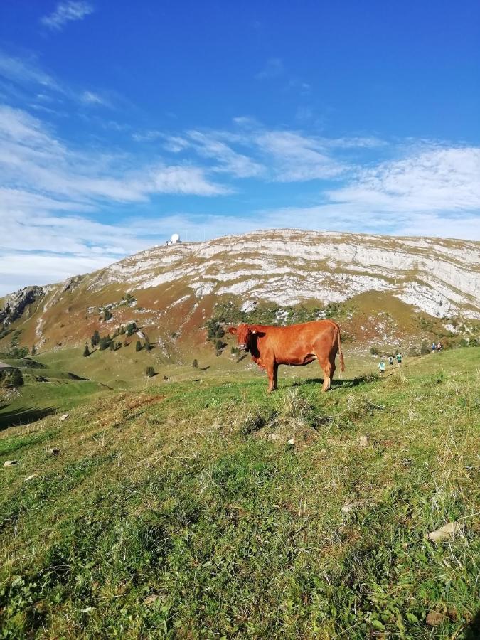 Cahute De Montagne Pour Profiter Du Haut Jura Prémanon エクステリア 写真
