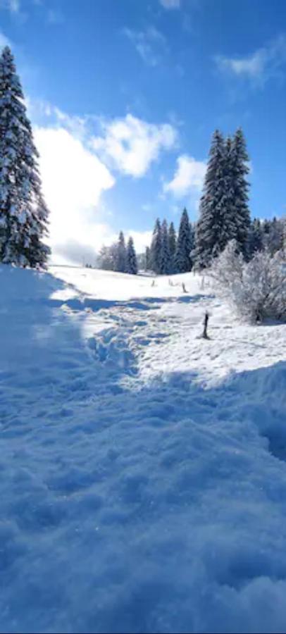 Cahute De Montagne Pour Profiter Du Haut Jura Prémanon エクステリア 写真