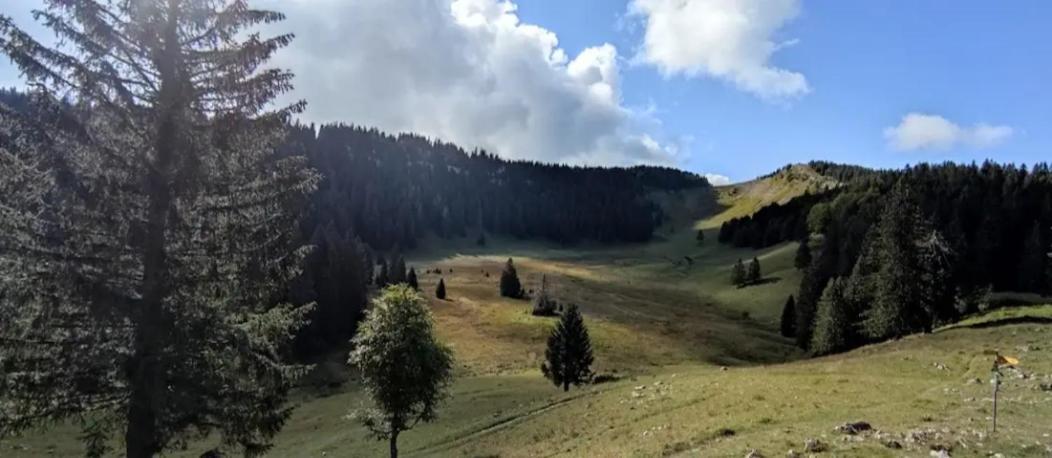 Cahute De Montagne Pour Profiter Du Haut Jura Prémanon エクステリア 写真